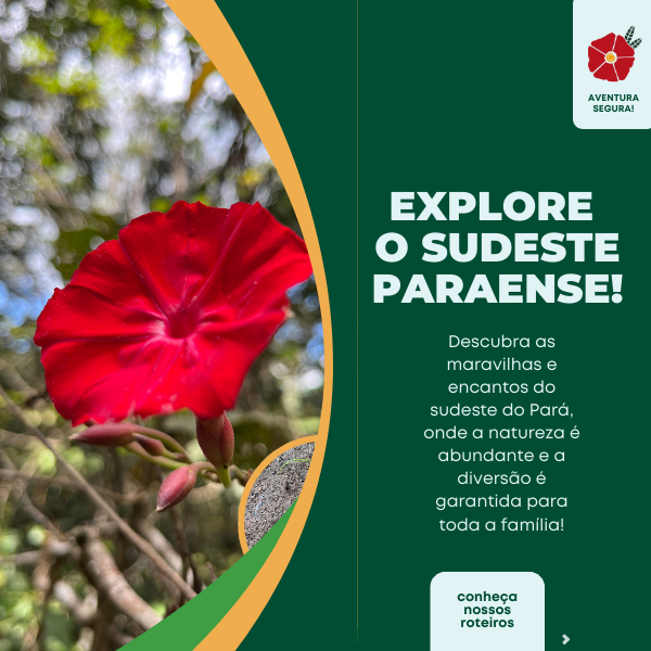 Explore o sudeste paraense!