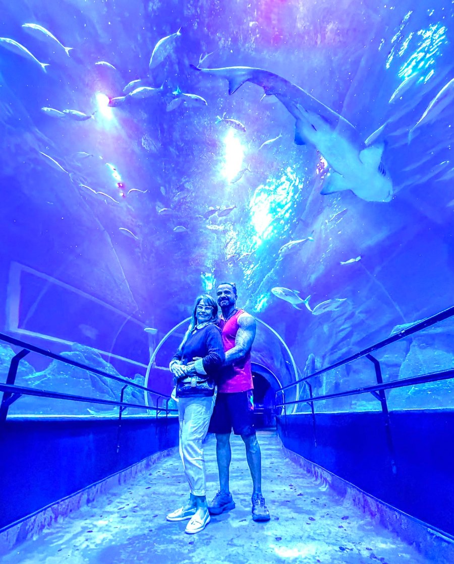Conhecendo o AquaRio durante um city tour no Rio de Janeiro, combinando turismo, lazer e momentos inesquecíveis com a JHOW RJJ.
