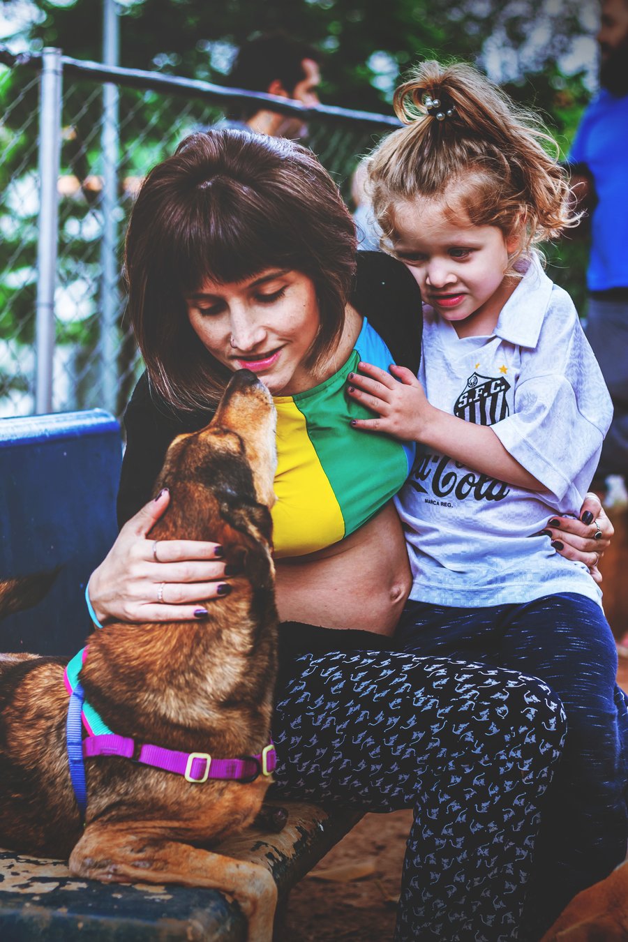 ensaio fotográfico com pet