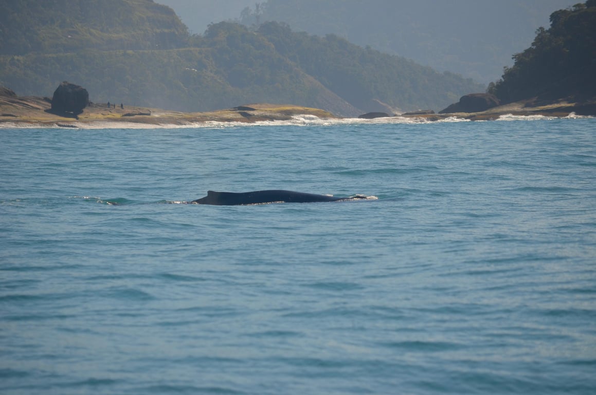 Exploração marinha