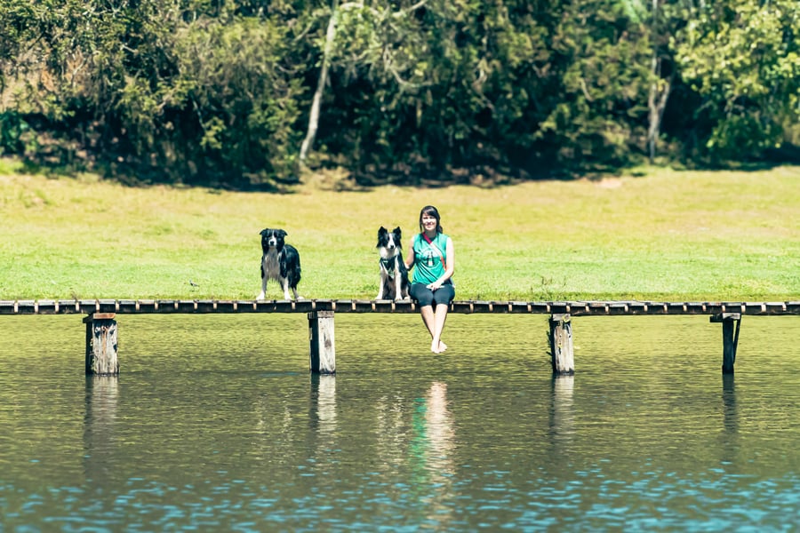 Day Use Aventura Pet com Trilha de Lama - Juquitiba