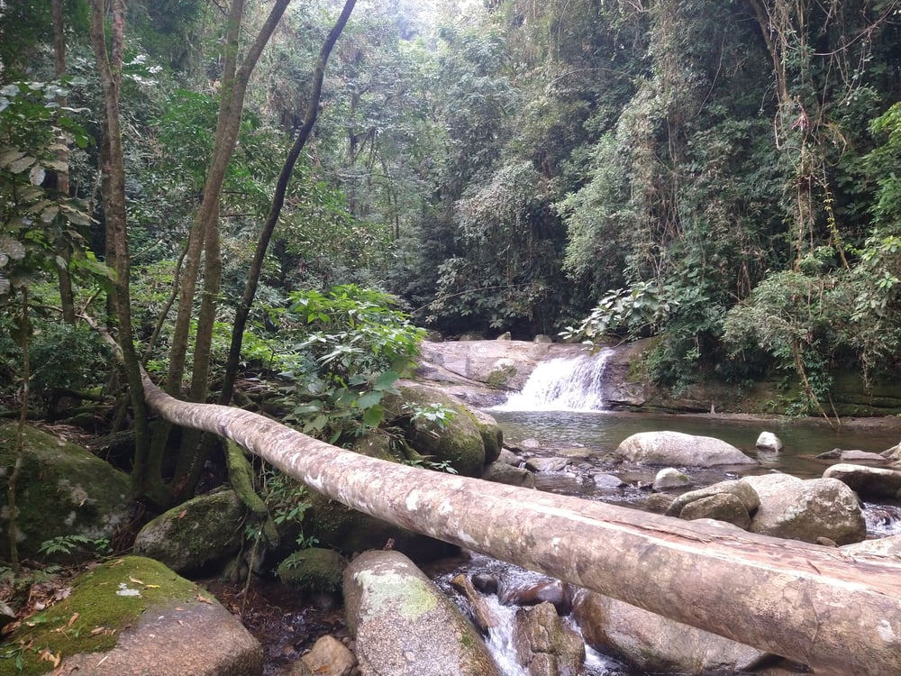 Poço do Jabuti - Trilha D'água Branca