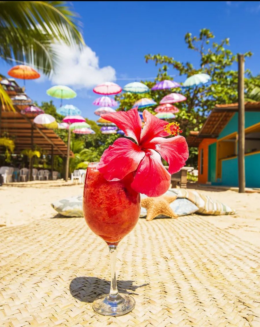 Passeio de Escuna para Praia de Loreto – Ilha dos Frades All Inclusive