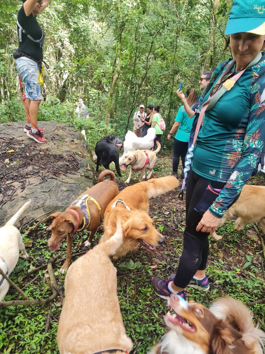 Trilha Pet + Degustação de Vinhos e Almoço na Vinícola Saccomani
