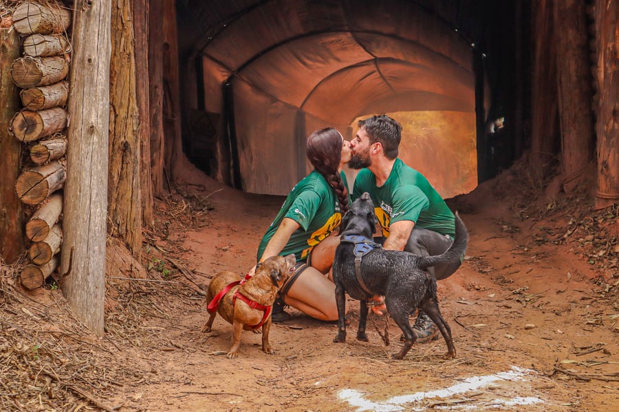 Desafio Feras Pet Friendly