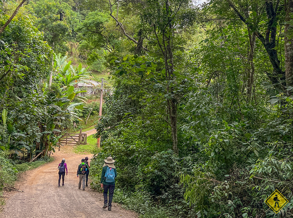 Caminhada-NazarePaulista-Natureza00