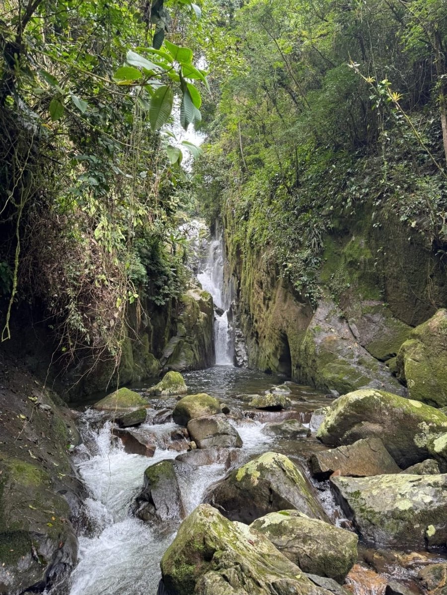 Cachoeira do Crepúsculo Paraty