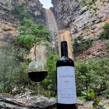 Rota do Vinho na Chapada Diamantina