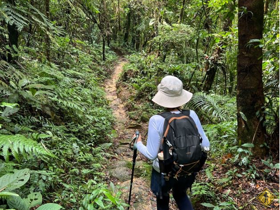 trilha-poço_bonito-natureza