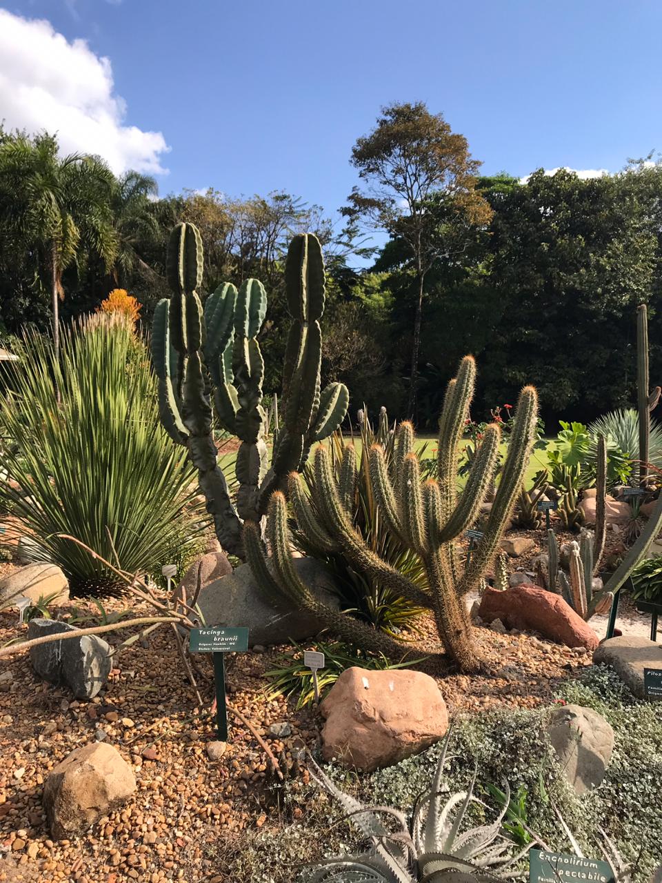 23/04 Jardim Botânico Plantarium e Cultura Leta em Nova Odessa