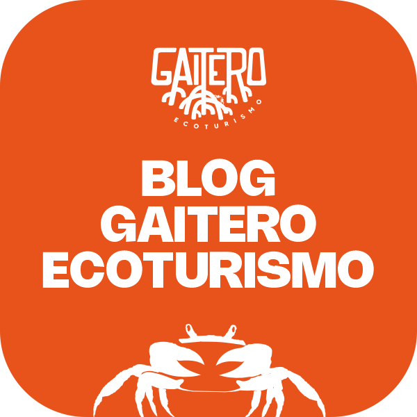Blog Gaitero Ecoturismo