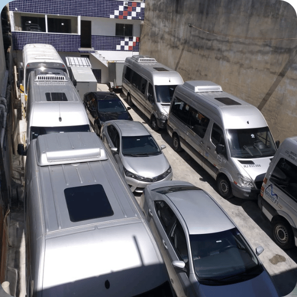Excursão Privativa de meio dia 