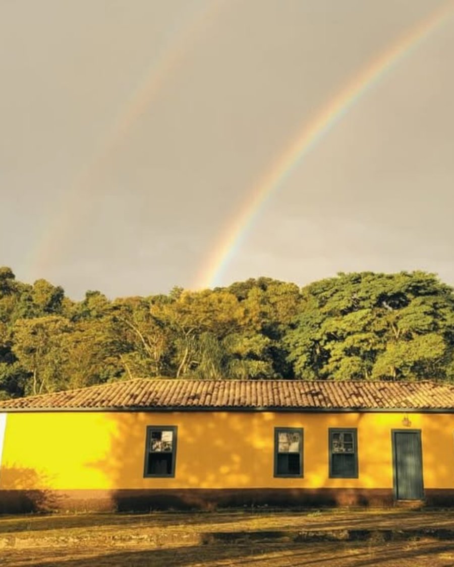 Orchestra do Silêncio Retiro Zen Pet