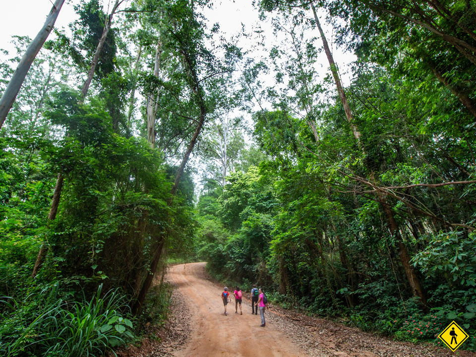 Caminhada - Caminho Circuito Das Frutas - Morungaba X Joaquim Egydio