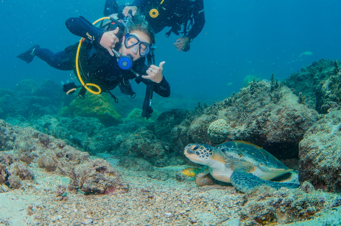 Guia Completo de Mergulho em Arraial do Cabo: Descubra a Capital do Mergulho Subaquático