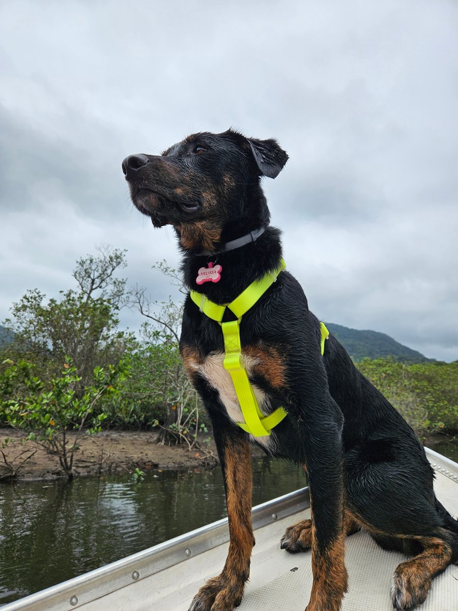 Aventura na praia Peruíbe pet friendly trilha, barco, pousada 