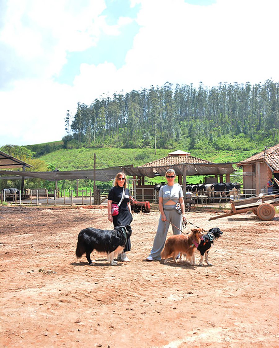 Visita Guiada com Degustação de Queijos e Almoço na Fazenda Atalaia