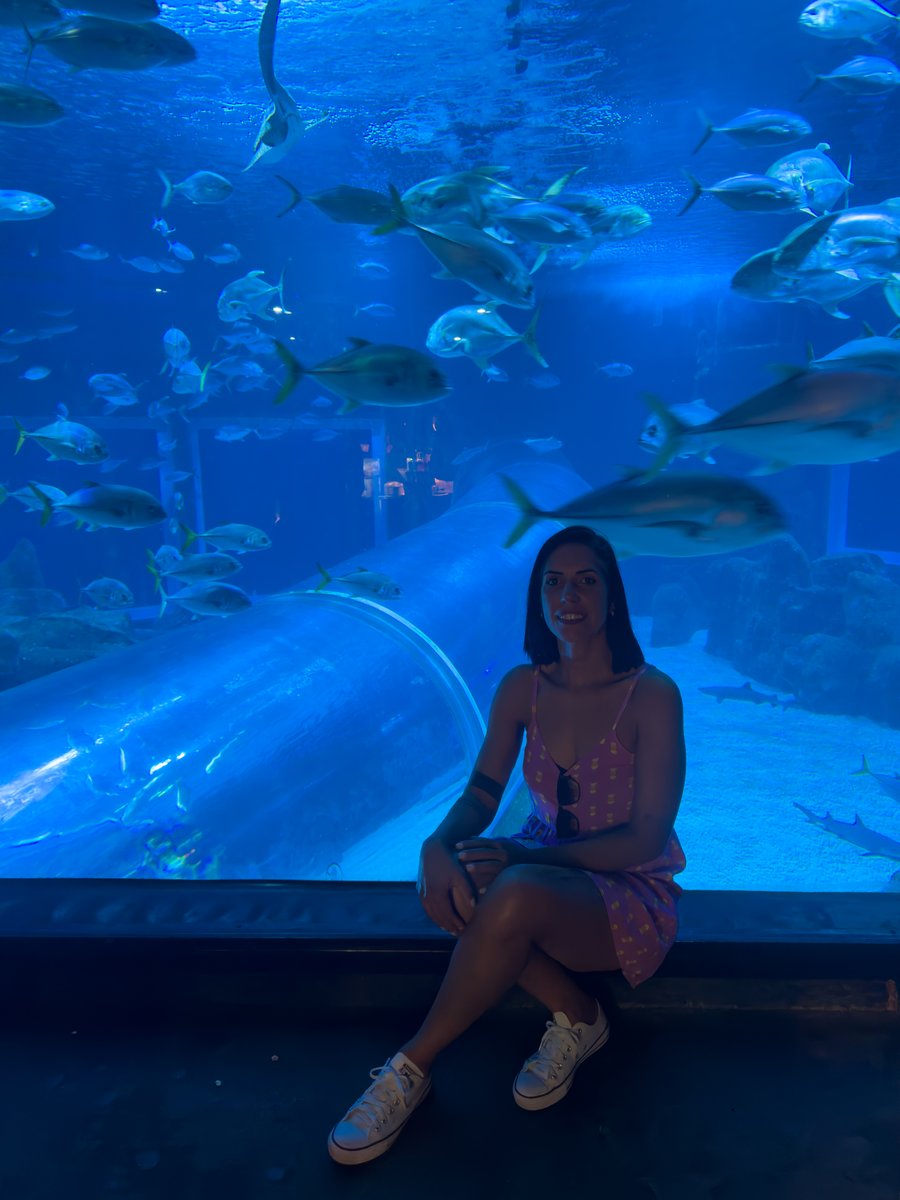 AQUARIO MARINHO 
