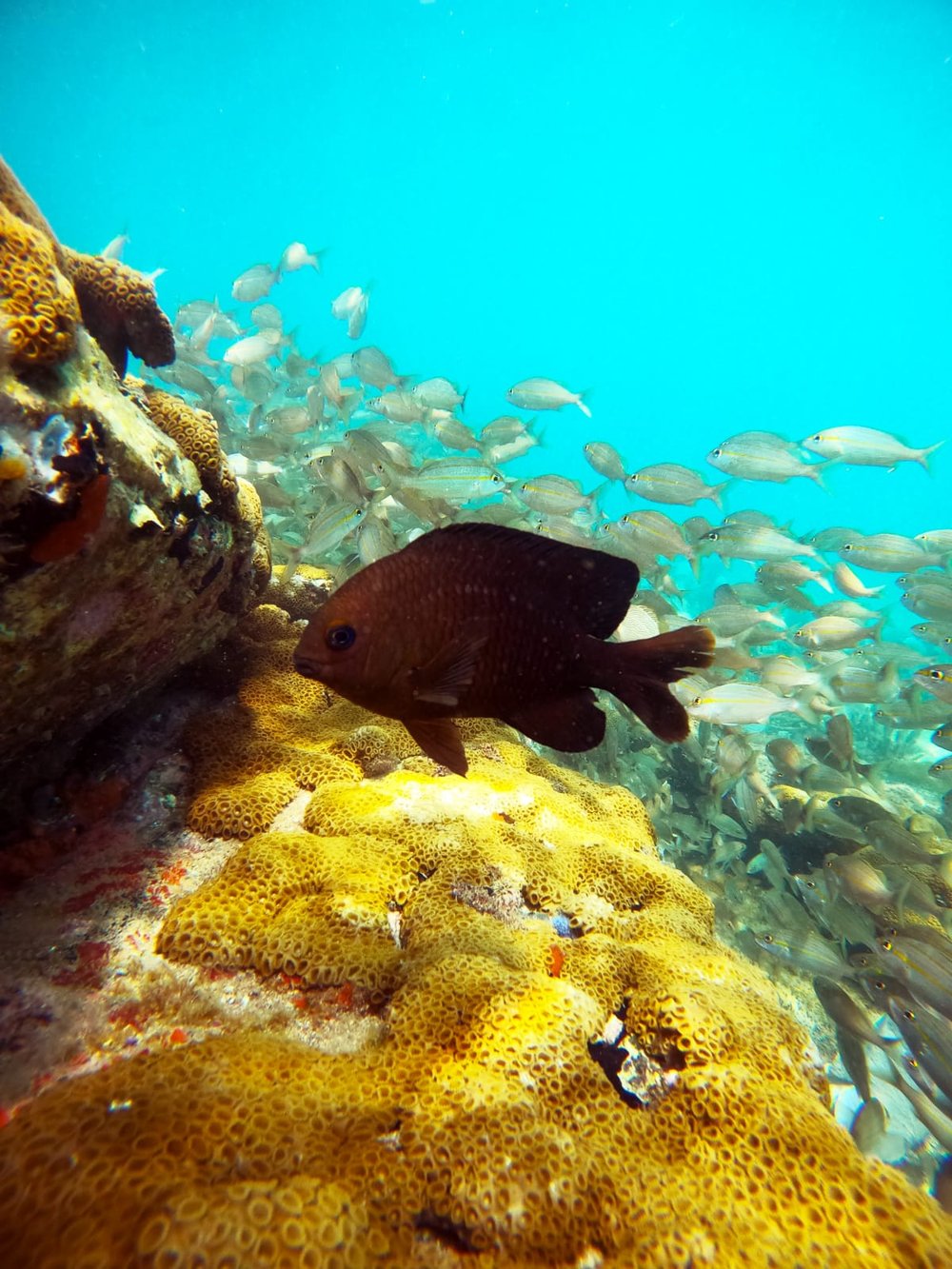 Mergulho de Cilindro