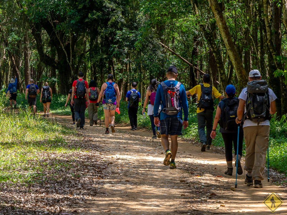 Travessia Da Serra Do Japi II Pt. 