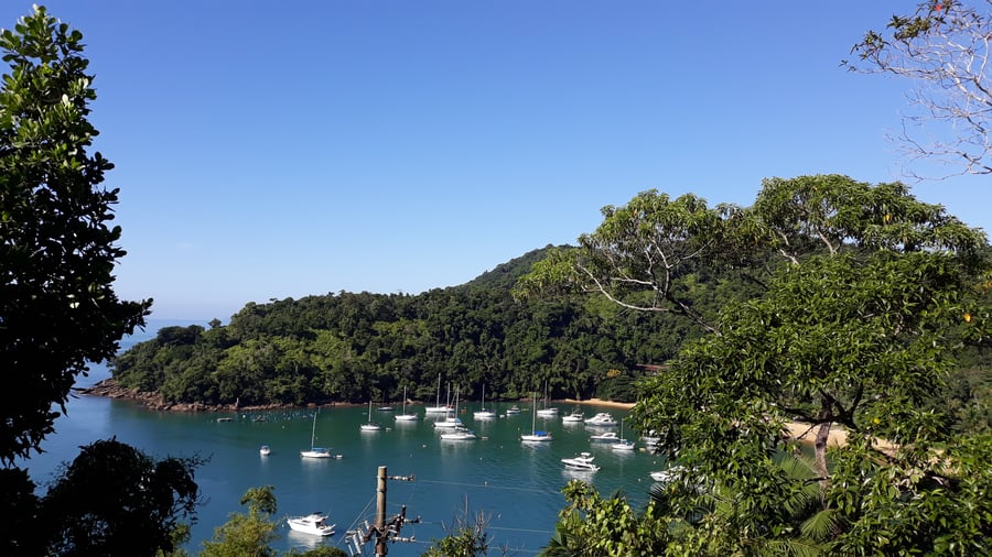 Explorando Trilha Sete Fontes: Natureza Exuberante em Ubatuba-SP