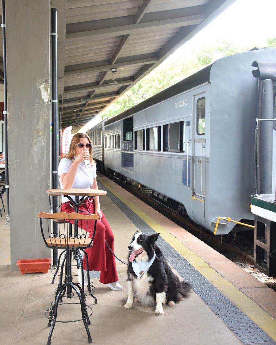 Passeio de Trem Republicano Salto x Itu x Salto com Almoço