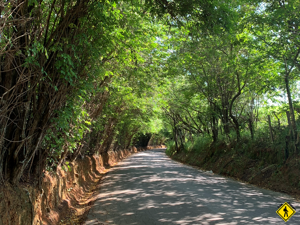 Caminhada, Caminho Circuito Das Frutas - Morungaba X Atibaia II Pt.