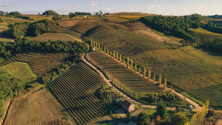Pinto Bandeira celebra trinta anos grandes vinhos!