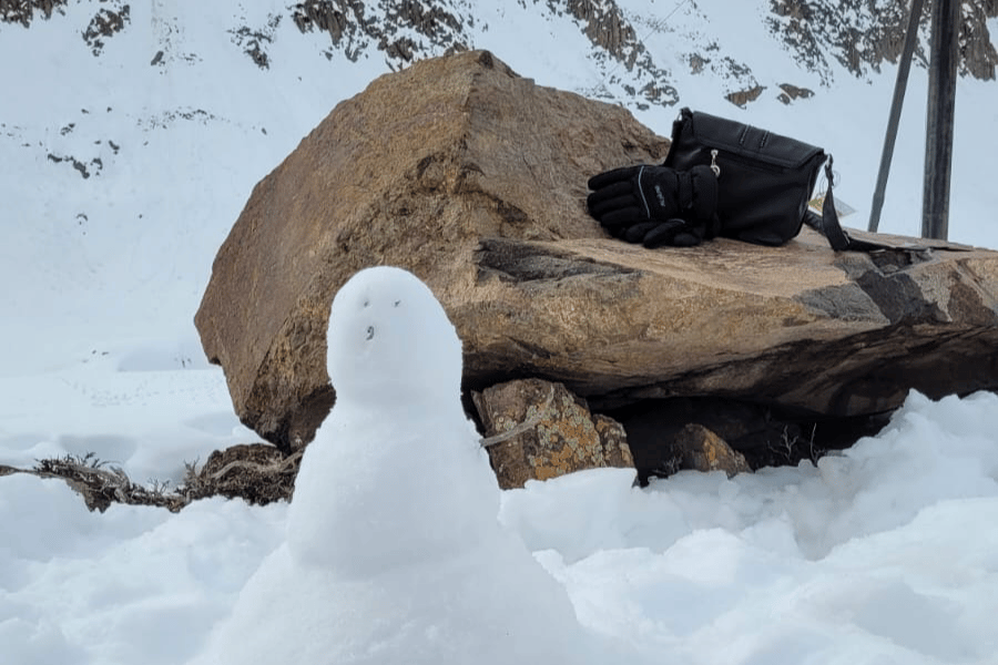 Tour e Transporte Compartilhado para Valle Nevado | Chile | Destino Sol