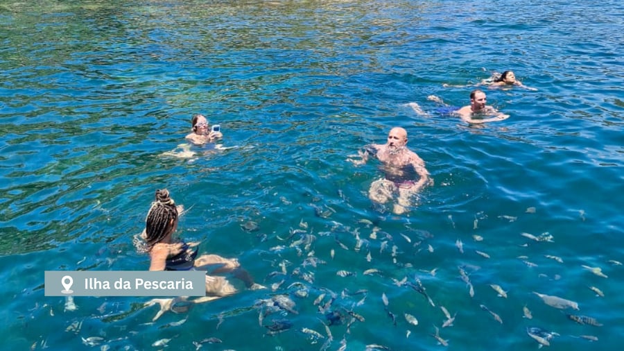 Ilha da Pescaria - Aquario Natural na Baia de Paraty