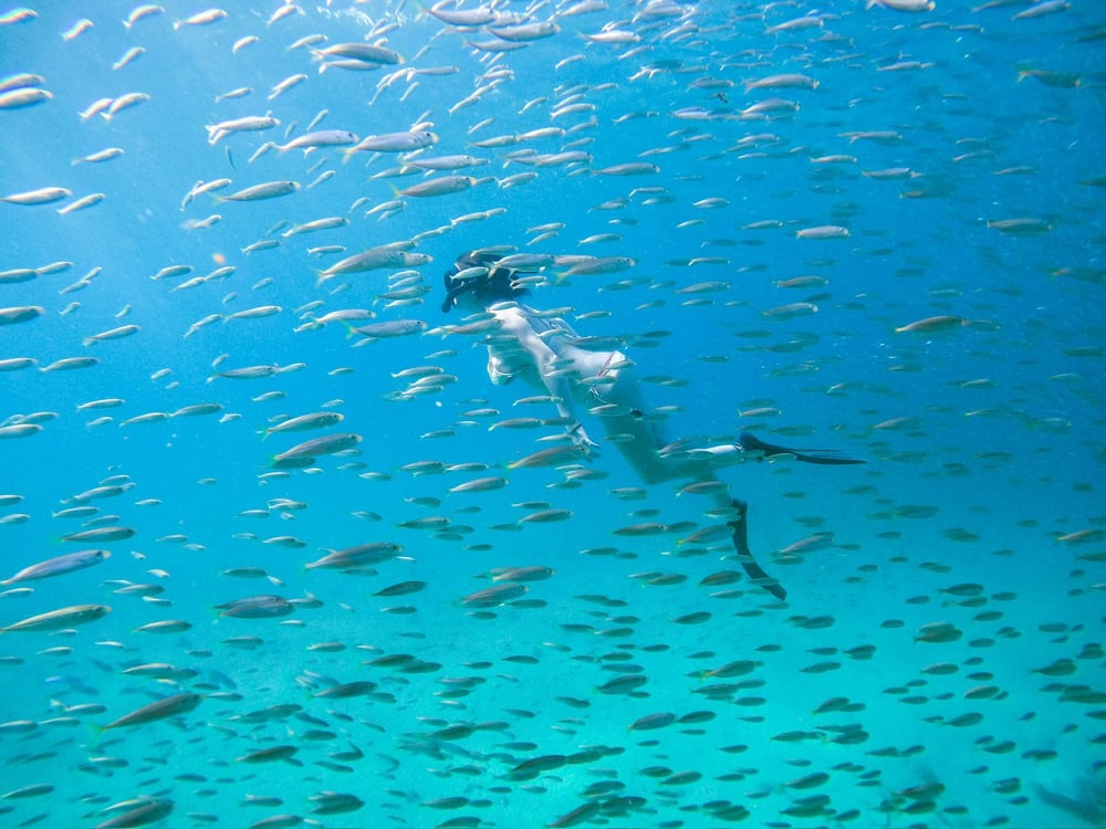 Mergulho de Snorkel na Praia em Arraial do Cabo