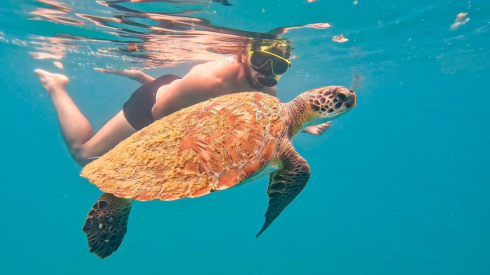Mergulho de Snorkel na Praia em Arraial do Cabo