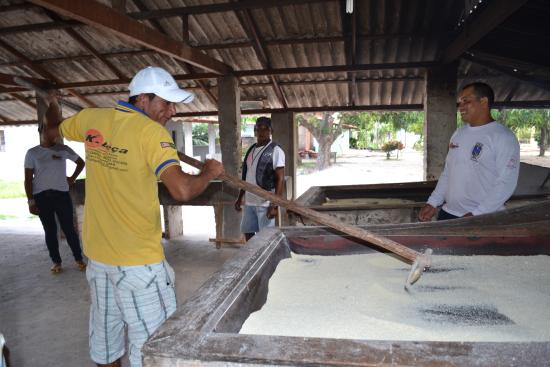 conhecemos o processo de fabricação da Farinha de Mandioca, método tradicional passado pelos indígenas da região de tapuio