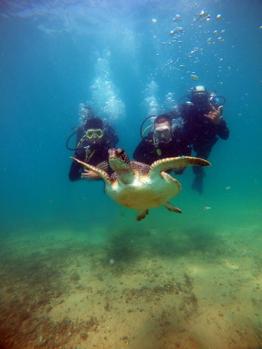 Mergulho de Cilindro