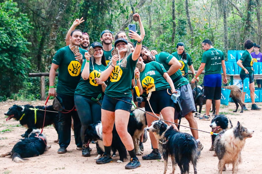 Desafio Feras Pet Friendly