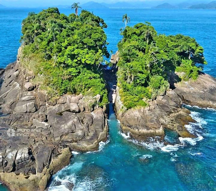 Ilha das Couve e Ilha dos Porcos