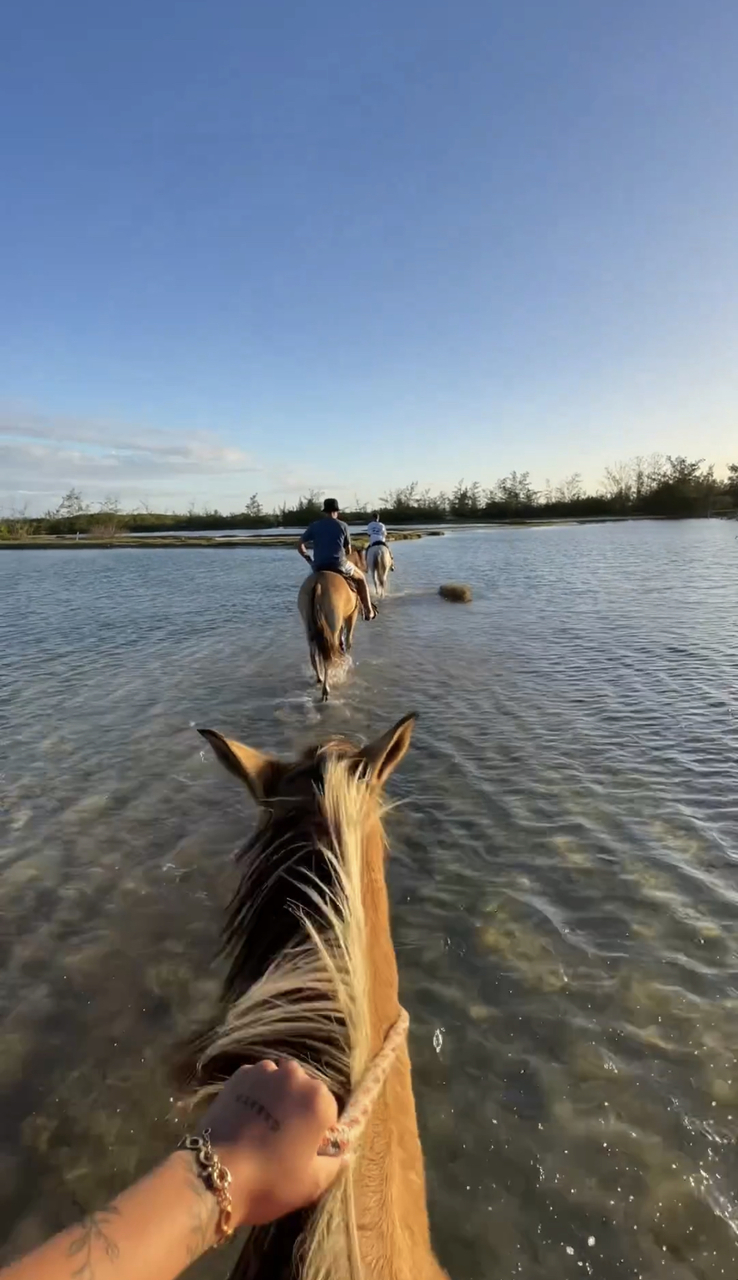 PASSEIO A CAVALO POR LAGOAS, SALINAS E PRAIAS EM MONTE ALTO