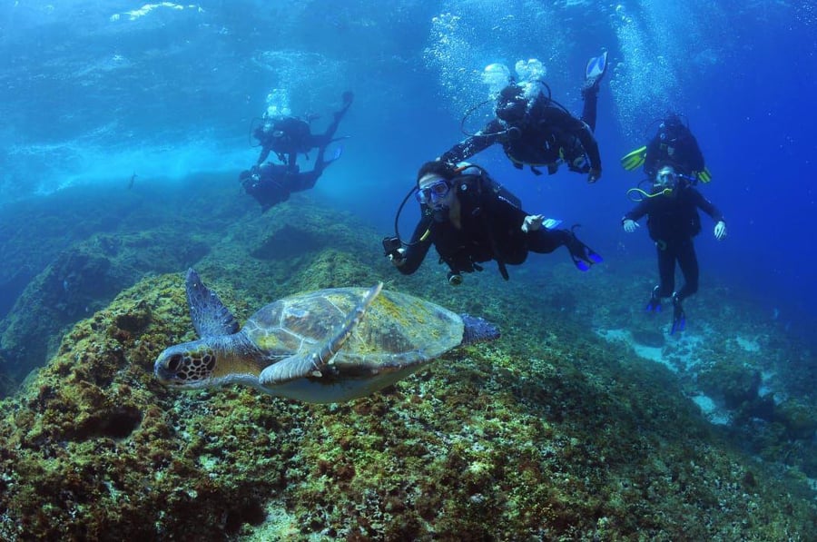 Mergulho Batismo com Cilindro Arraial do Cabo 