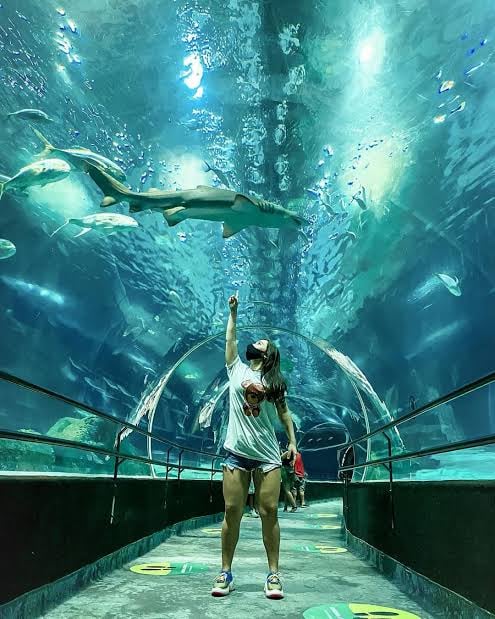 AQUARIO