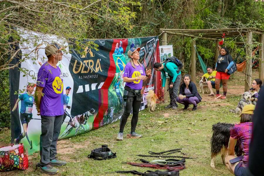 Desafio Feras Pet Friendly