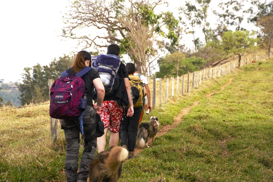 Camping de montanha pet friendly - Socorro