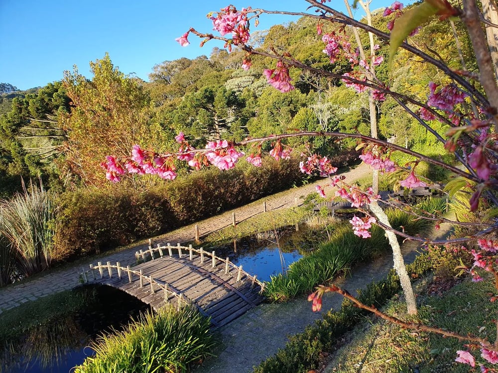 Campos do Jordão com Parque Amantikir