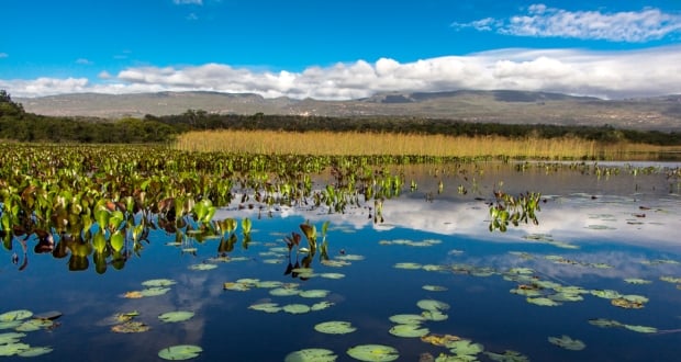 Excursão São João: Chapada Diamantina | Lençois + Pratinha