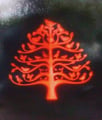 Logotipo Araucária Viagens na Natureza