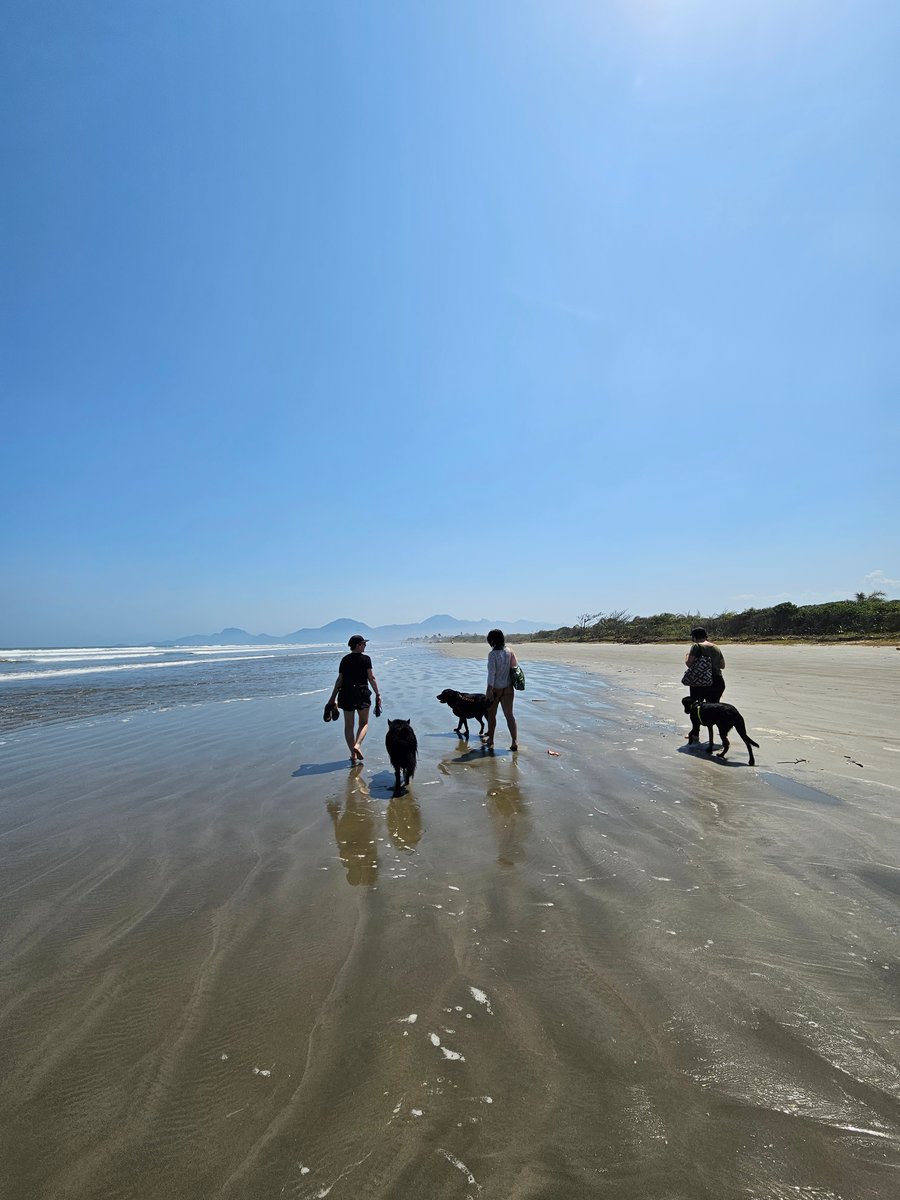 Aventura na praia Peruíbe pet friendly trilha, barco, pousada 