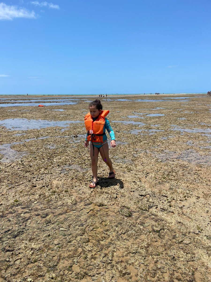 As crianças se divertem