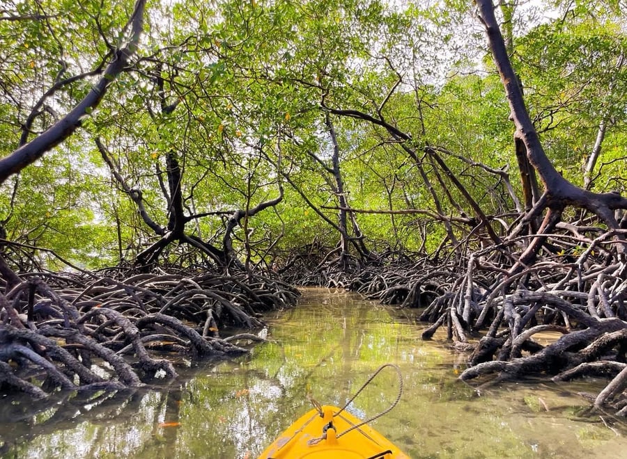     Uma experiência de conexão, tranquilidade e natureza