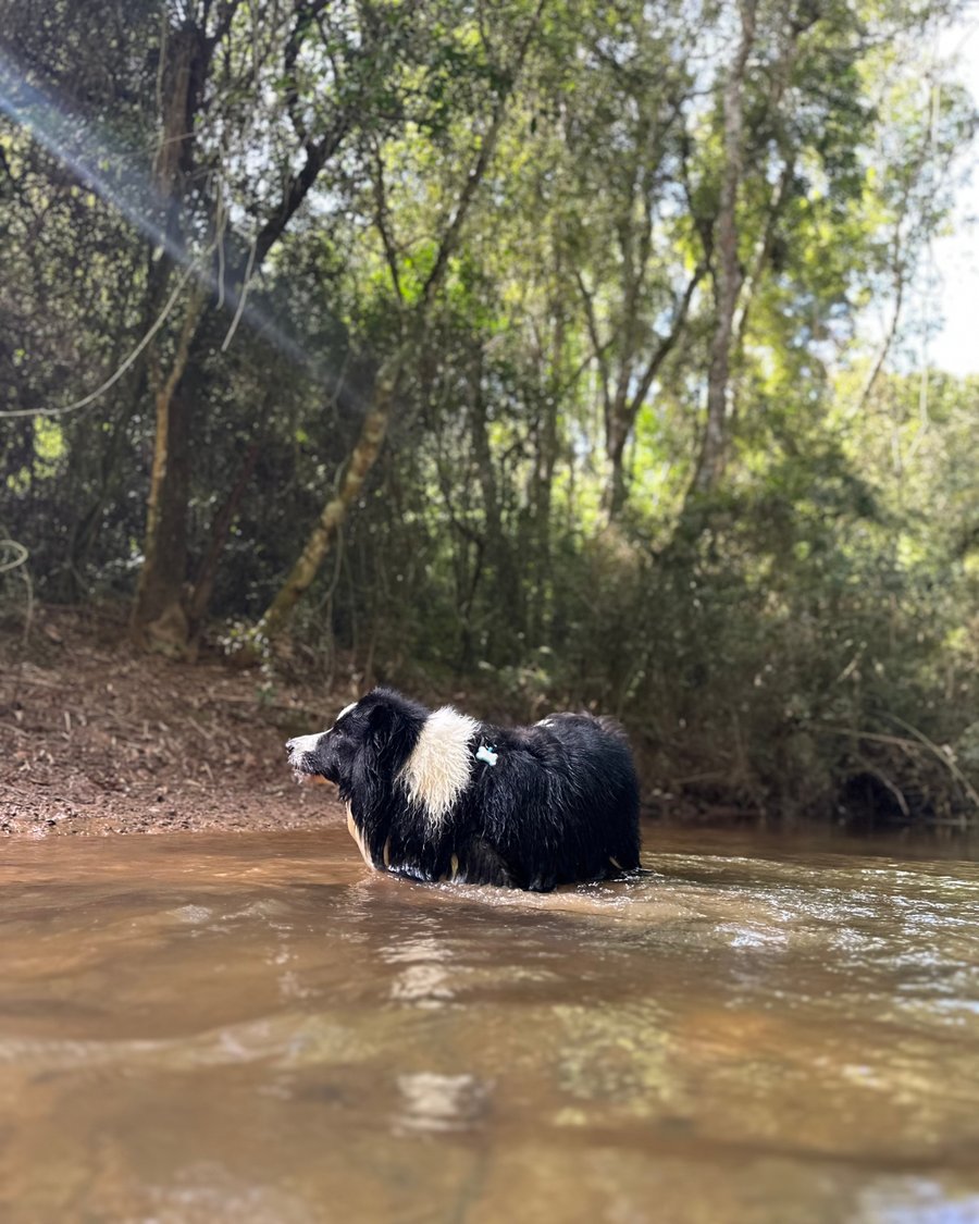 Retiro Casulo Pet Friendly