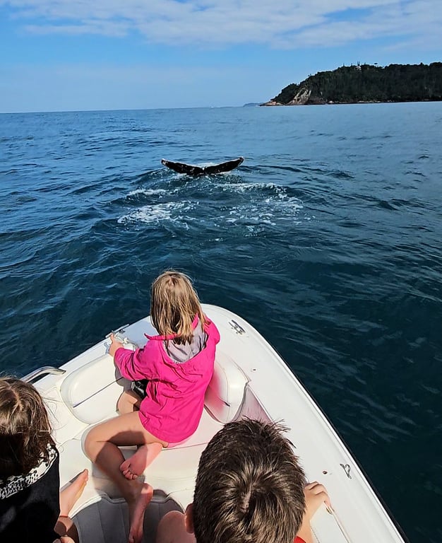 Barco em águas azuis