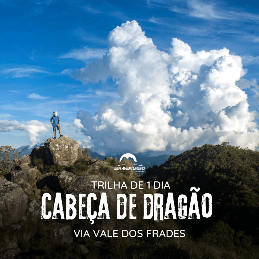  Cabeça de Dragão